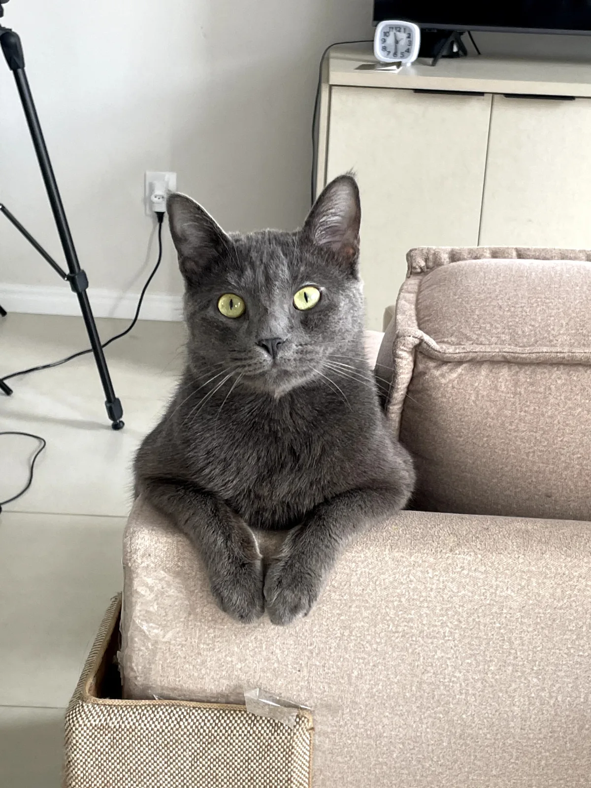Oliver